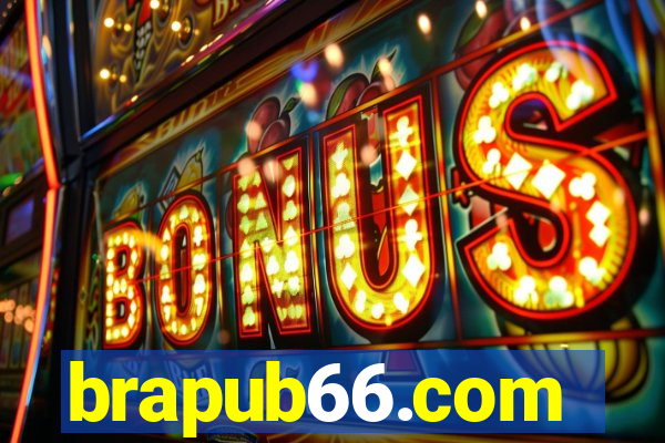 brapub66.com