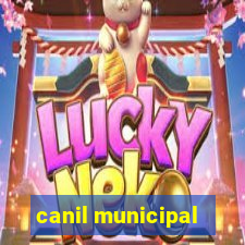 canil municipal