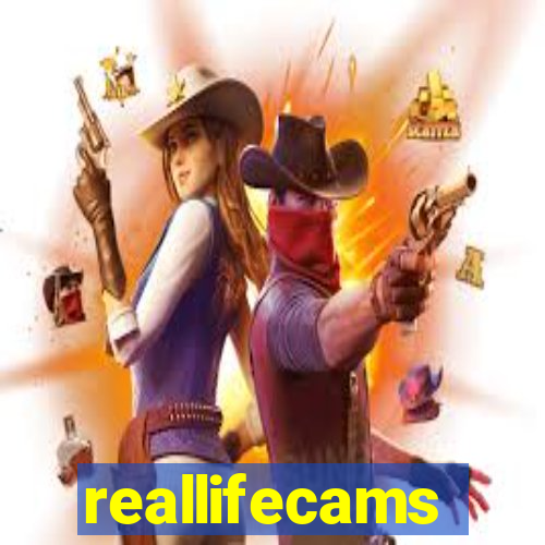 reallifecams